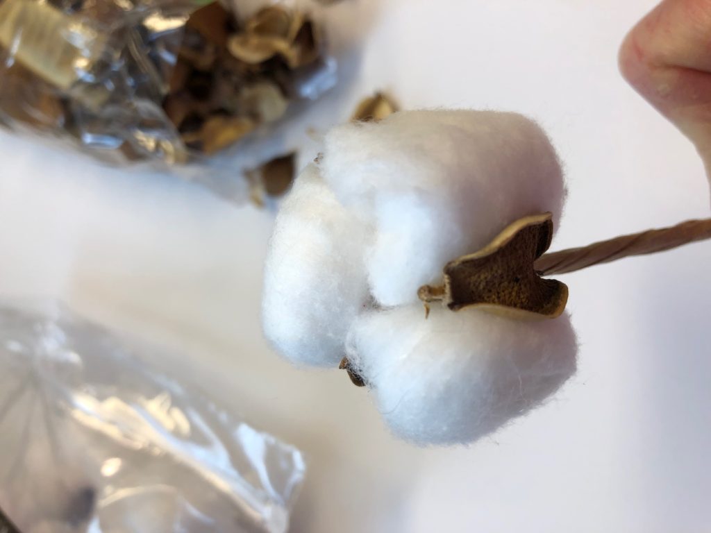 How to Make Your Own Cotton Stems