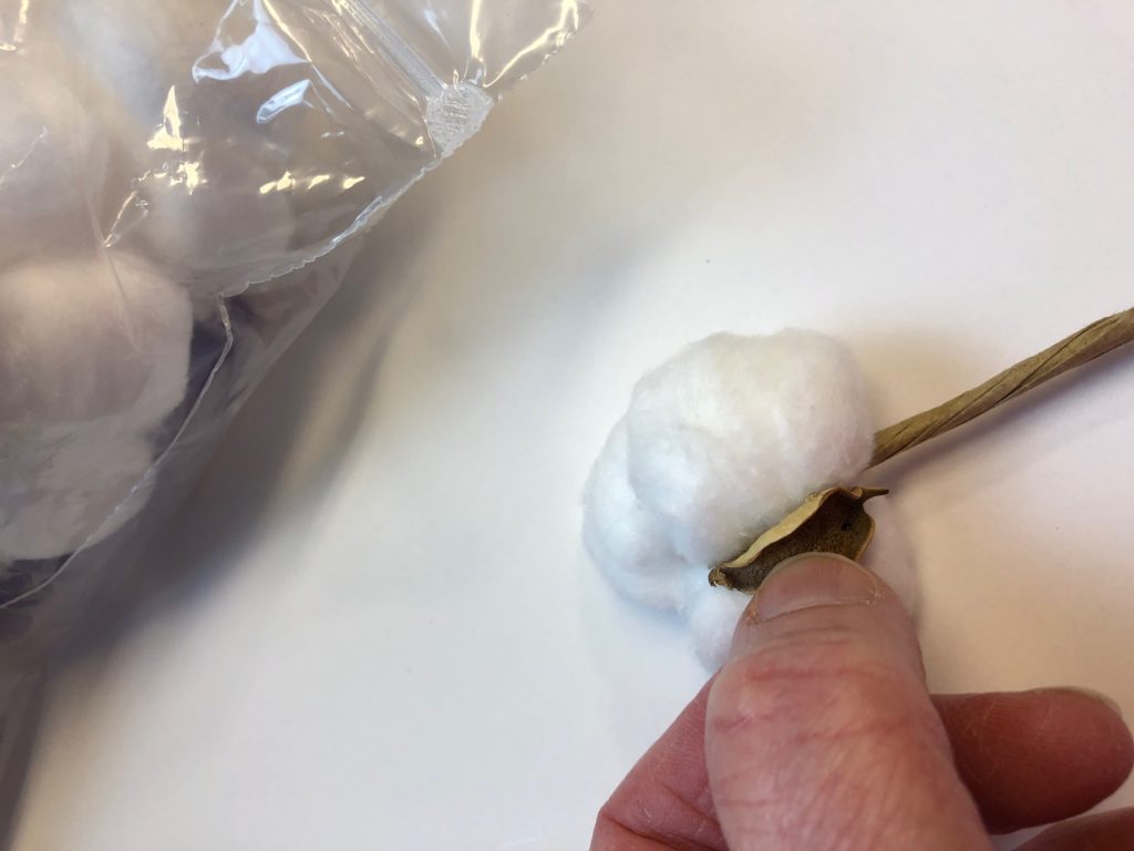 DIY Cotton Stem for Wreaths & Farmhouse Decor