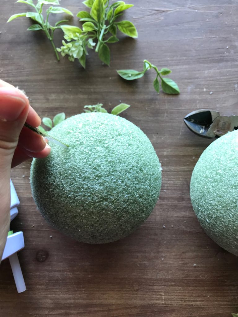 DIY Boxwood Topiary