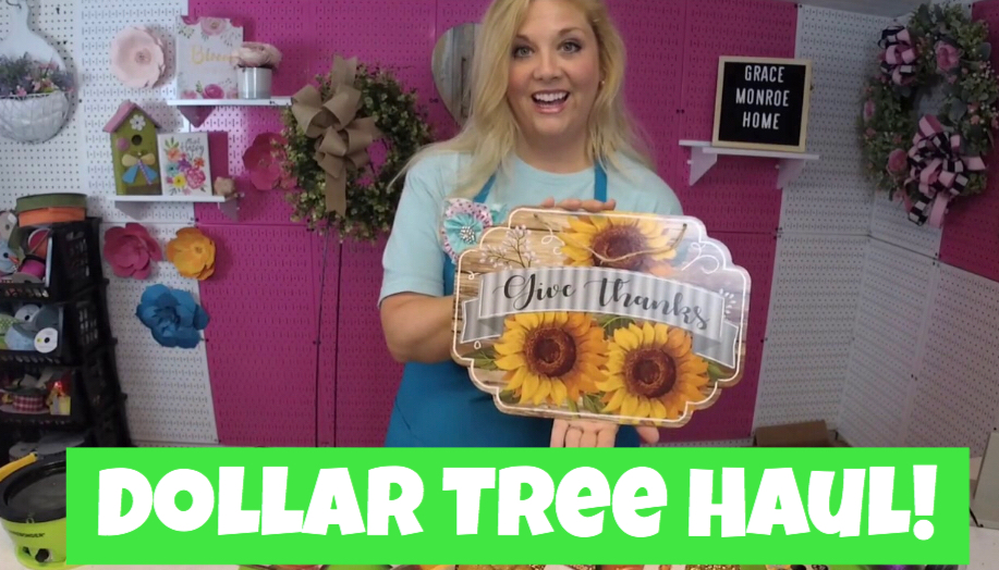 Dollar Tree Haul – August 2019